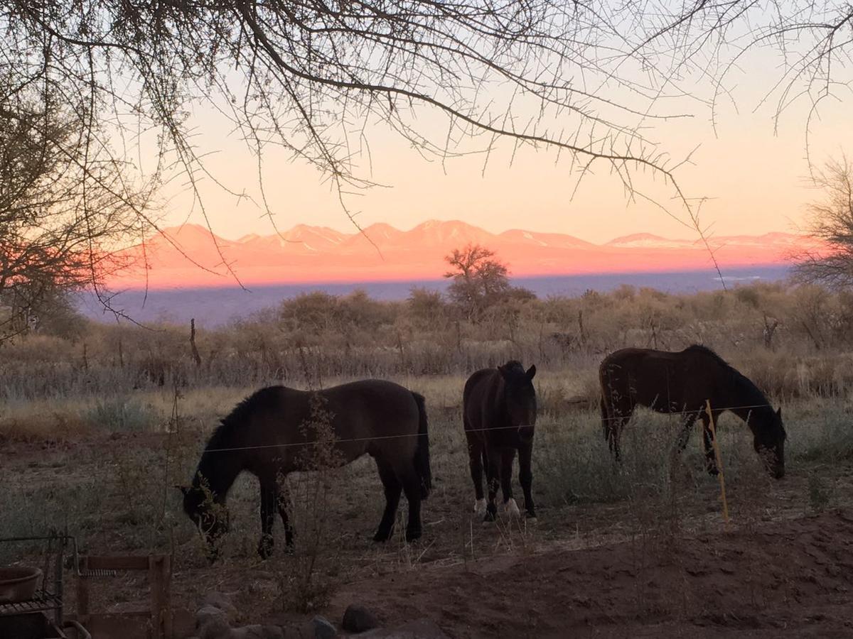 Andes Nomads Desert Camp & Lodge San Pedro de Atacama Dış mekan fotoğraf